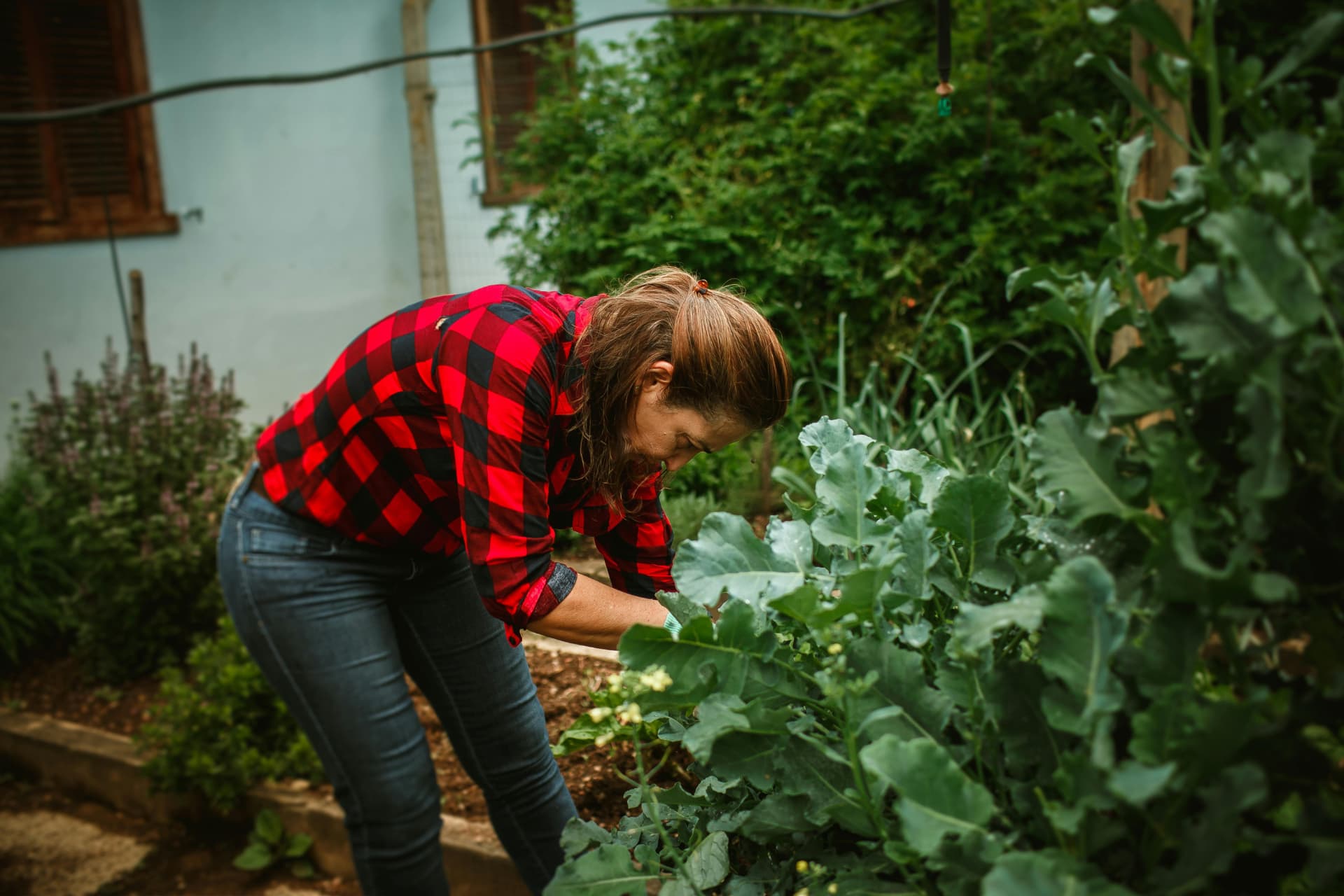 Kertészkedés mozgásszervi probléma