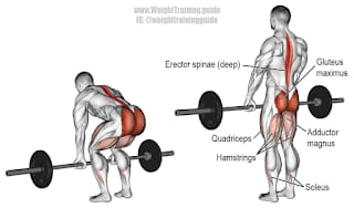 Felhúzás vagy deadlift gyakorlat 2 Felhúzás (deadlift) gyakorlat