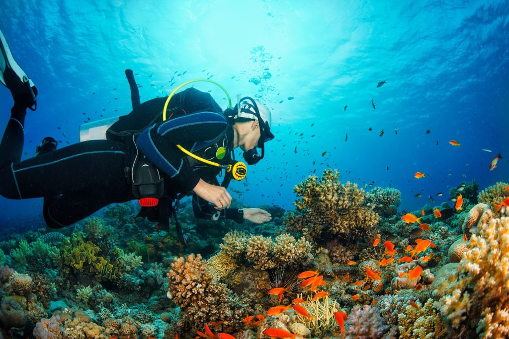 A búvárkodás mozgásszervi terapeuta szemmel 2 Búvárkodás