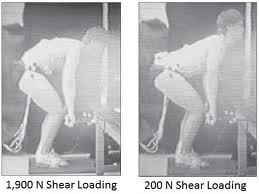 Felhúzás vagy deadlift gyakorlat 3 Felhúzás (deadlift) gyakorlat