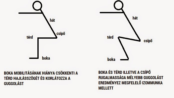 Ízületi mobilitás és stabilitás 4 guggolas