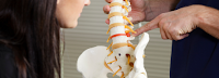 manualchiropractor