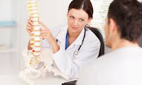 spine